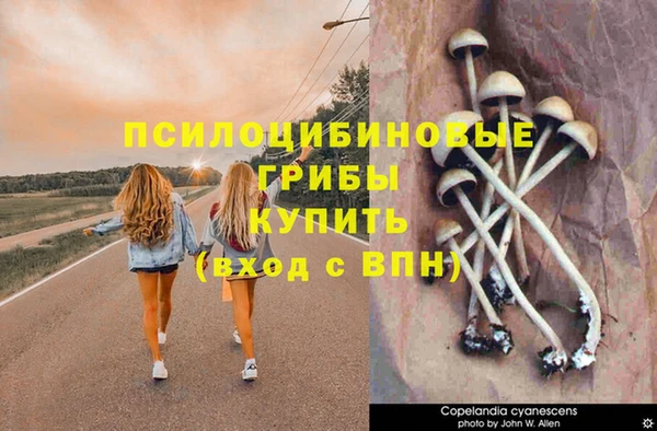 каннабис Осинники