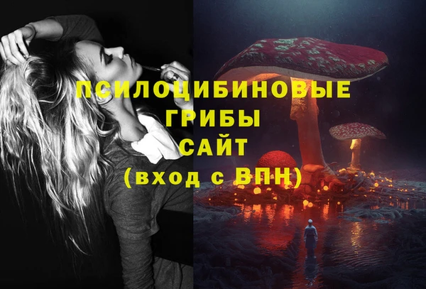 спайс Заволжье
