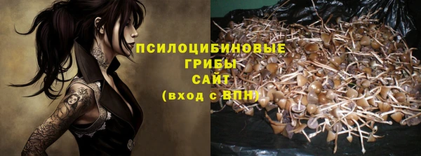 спиды Заволжск