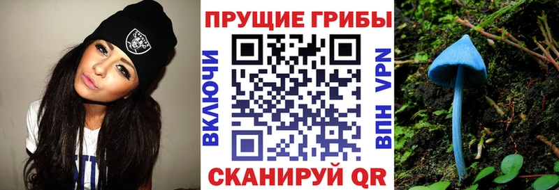 Псилоцибиновые грибы Psilocybine cubensis  kraken зеркало  Приозерск  дарнет шоп 