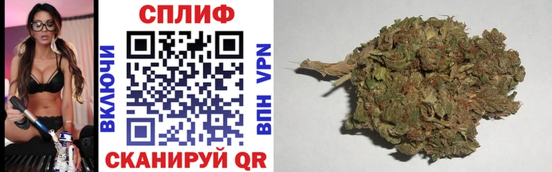Конопля Bruce Banner  купить наркотик  Приозерск 